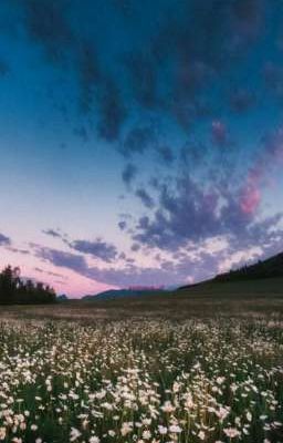 а что будет после разлуки?