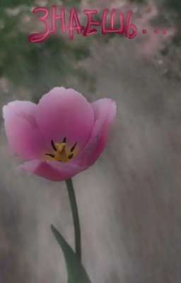 //Аромат твоих последних тюльпанов//