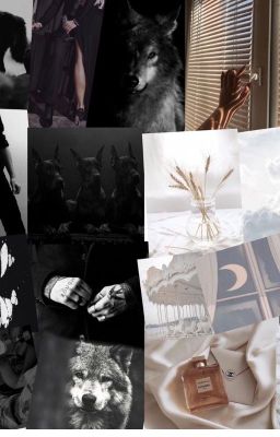 Формула серого