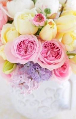 Полетели со мной!