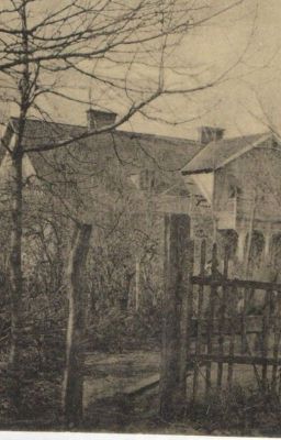 Владимир Титов  "Уединенный домик на Васильевском"