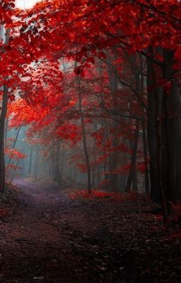 Законы оборотней