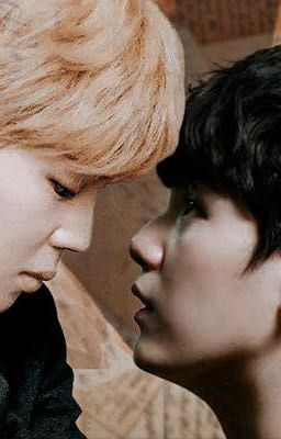 Мой сводный брат 