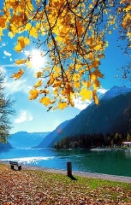 Кладовая солнца