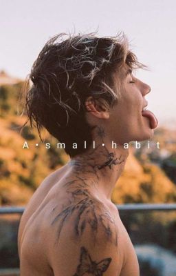 Небольшая Привычка