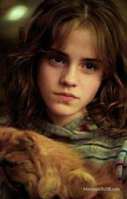 любовь Гермионы