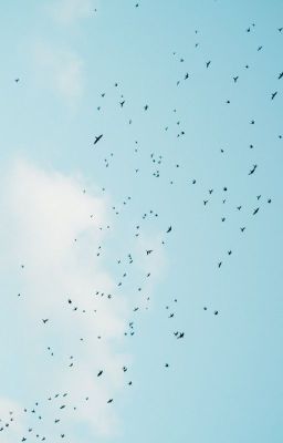 Греет сумрак луч рассвета