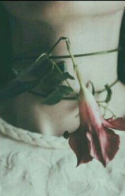 мне нужно больше 