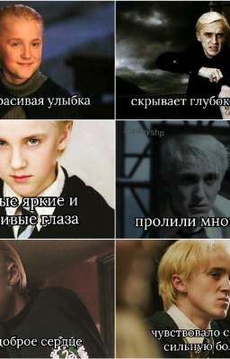 Т/И Снейп и Драко Малфой "Жалкое отродье Поттеров" ( книга 1)