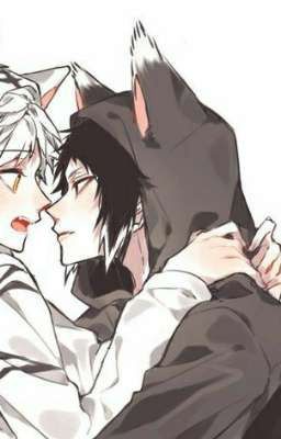 Сводник Дазай или влюблённость по-неволе . Продолжение 