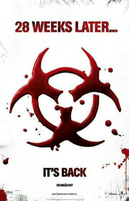 28 недель спустя