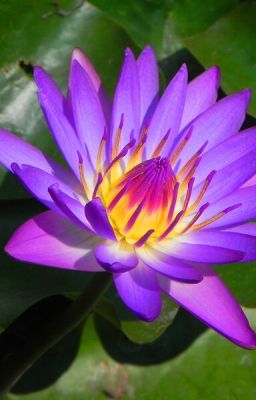 Новое поколение и новые приключения.Книга 2.