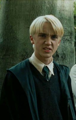 -Ненавижу тебя, Малфой!