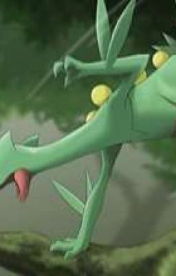 Великий тренер покемонов 