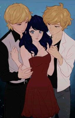 Фелинетт или же Адринетт?