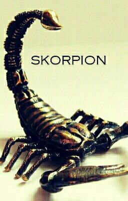 Скорпион