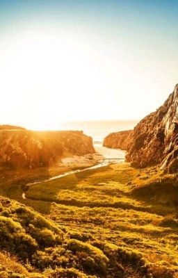 Сборник стихотворений А.С.Пушкина