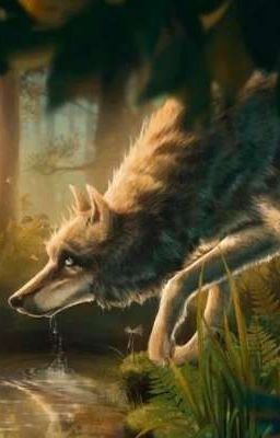 воспитание плотоядного 