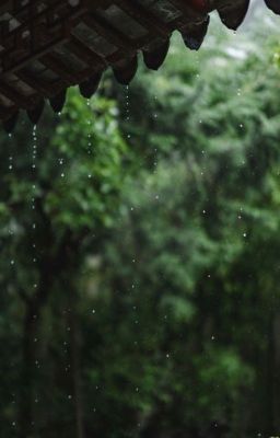 Двадцать три струны о чём скорбят?