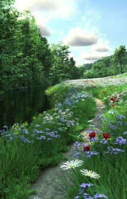 Охранница Мозгов.