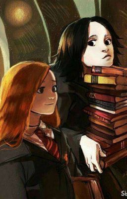 Софа Поттер