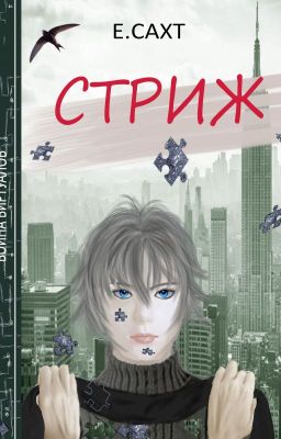 Война виртуалов. Стриж. Книга 1