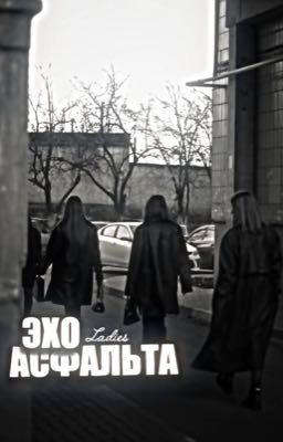 Эхо асфальта