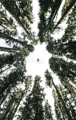 Однажды в катастрофе