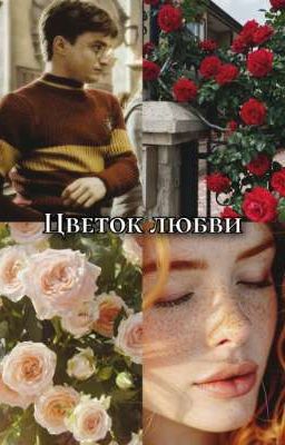 Цветок любви. 