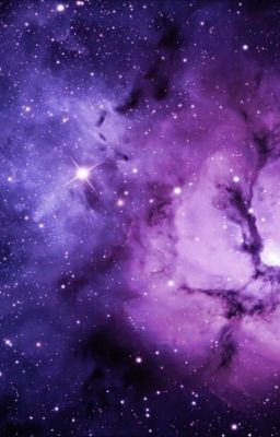 Новая жизнь