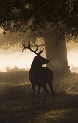 Искусство быть собой 