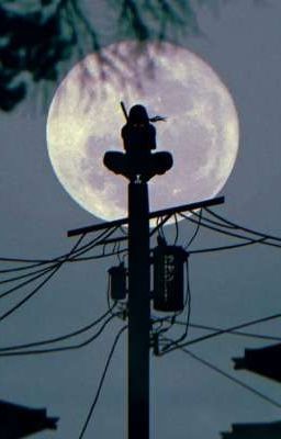 Персонажи аниме "Наруто" как парни.