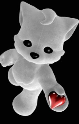 Красивая жизнь, или Выгранное пари