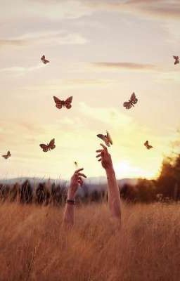 история одного странника который проснулся и перестал спать