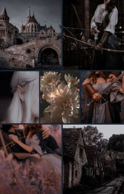 Алый рассвет