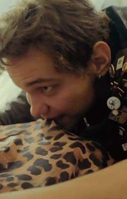 С первого взгляда |Рома