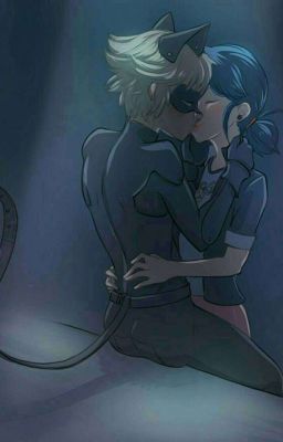 МариКот//Леди Баг и Супер Кот (Завершена )