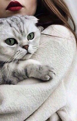 Неужели ты моя