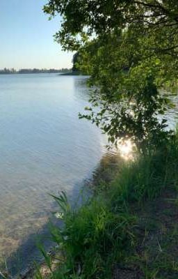 Тайны озёрного острова