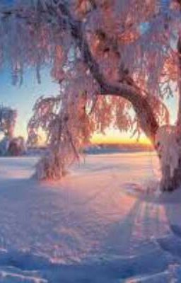 Для тебя Я Потерплю...