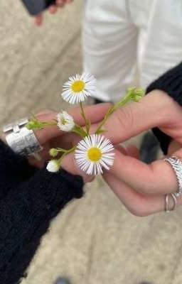 чай с ромашкой и кофе с васильком.