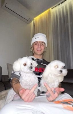 я не верю в любовь|lil morty|