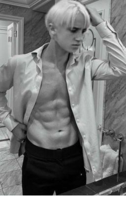 Школа, Работа И Страсть