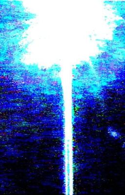 Лиловое цветение