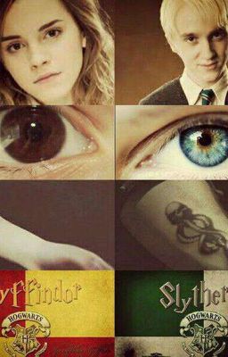 Хорьки не сдаются.