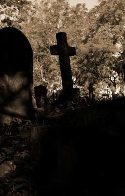 Жизнь автора держится на одном человек