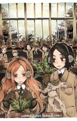 Немного о Гарри Поттере