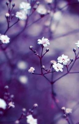 🌙Простая история🌙