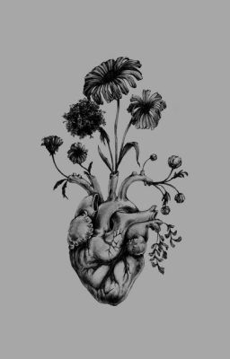 Абрау Дюрсо.