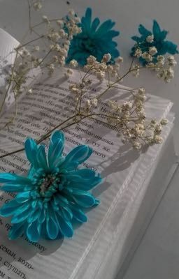 ПИАР КНИГ 💜